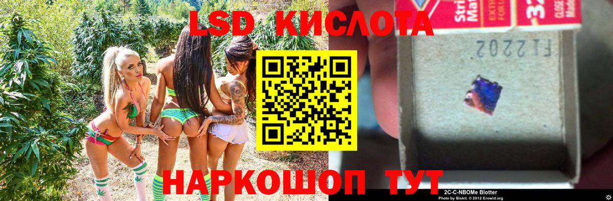 купить наркотики цена  Марки NBOMe 1,5мг  Наркотические марки  Вход с VPN  Чехов 