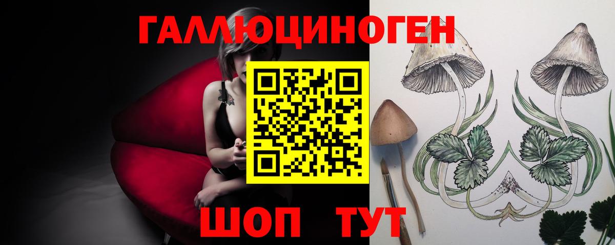 Галлюциногенные грибы прущие грибы  Вход с VPN  Чехов  Псилоцибиновые грибы GOLDEN TEACHER 